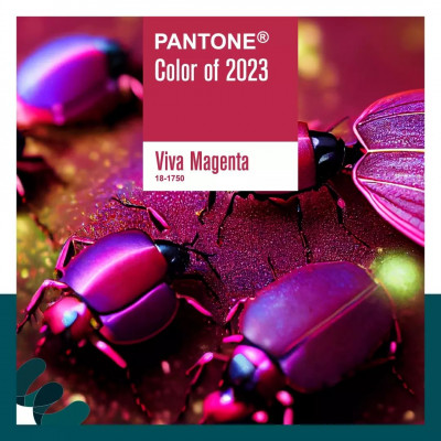 2022 Yılının Pantone Rengi